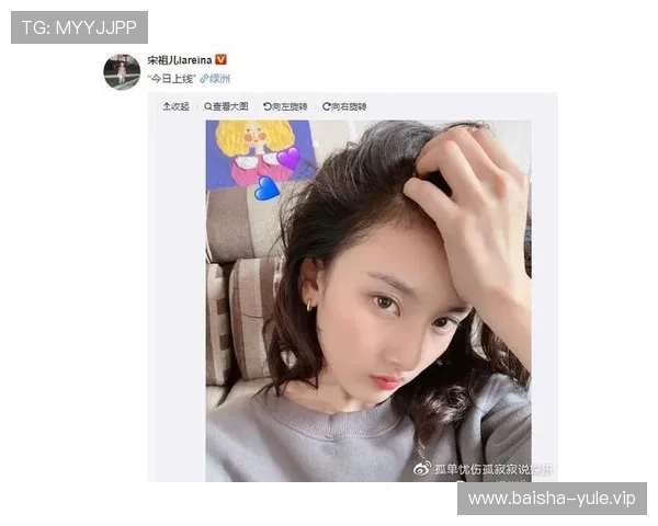华娱之大娱乐家：深度解析娱乐圈顶尖艺人的多元发展策略与未来趋势